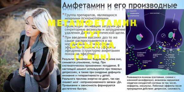 шишки Богородск