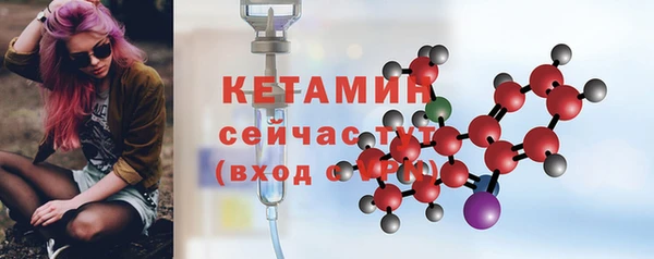 шишки Богородск