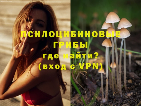 молекула духа Балабаново