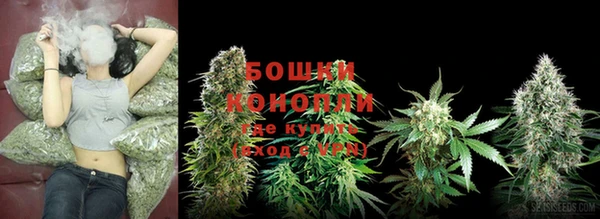 героин Богданович