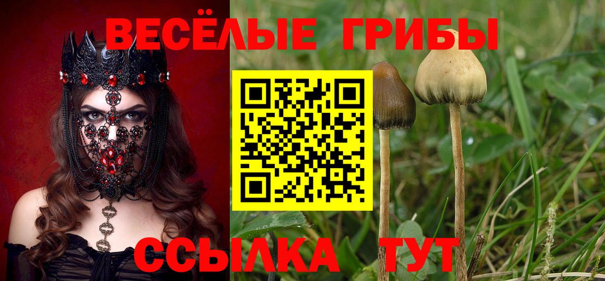Галлюциногенные грибы мухоморы Дальнегорск