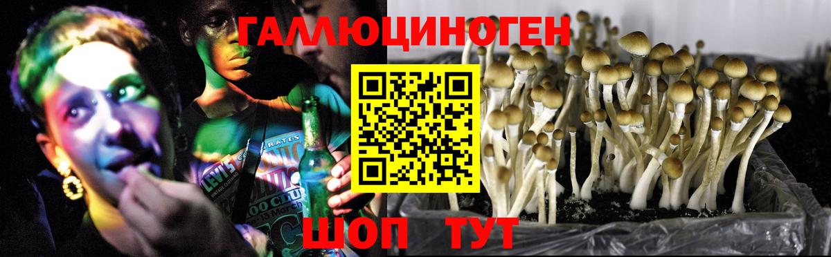 Галлюциногенные грибы мухоморы  Вход с VPN  Дальнегорск 